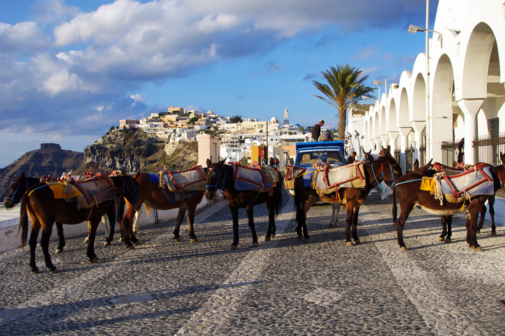 Eslene har hvilepause på gatene i Santorini