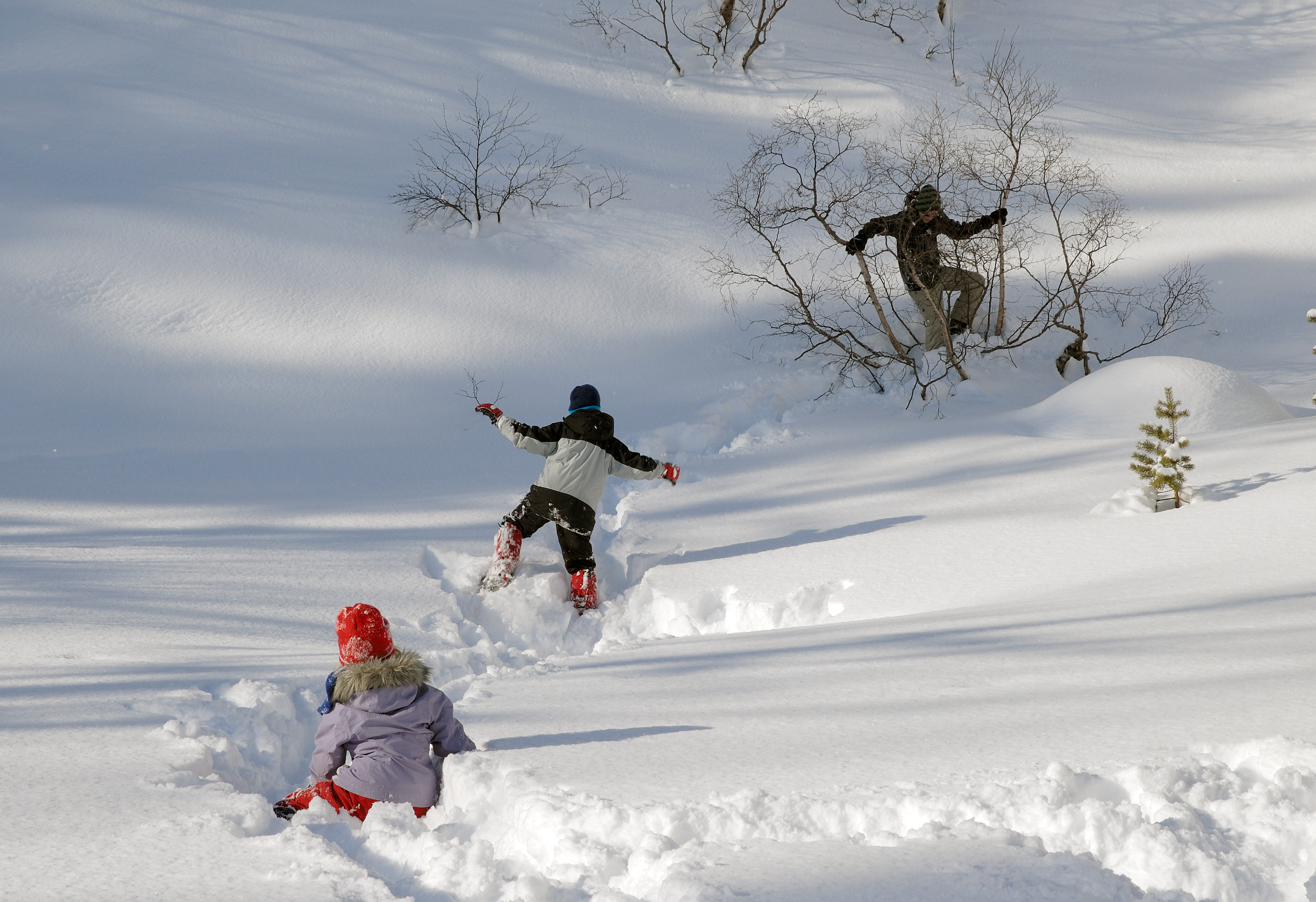 Moro med snøleker i Sirdal -
Foto: Getty Images