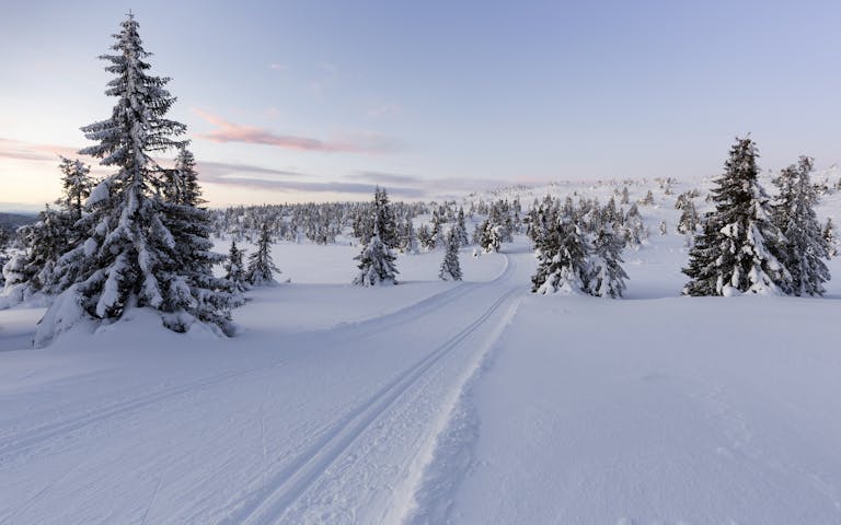 Milevis med langrennsløyper på Sjusjøen -
Foto: Getty Images
