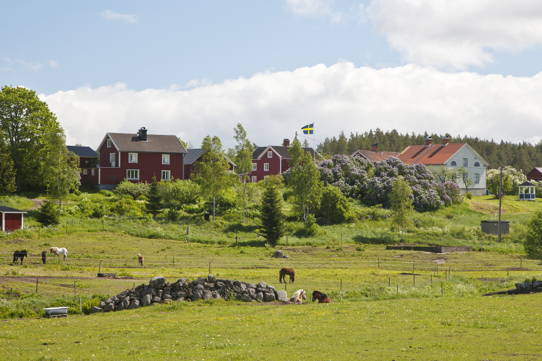 Familieferie i Småland - reisetips til ting å oppleve