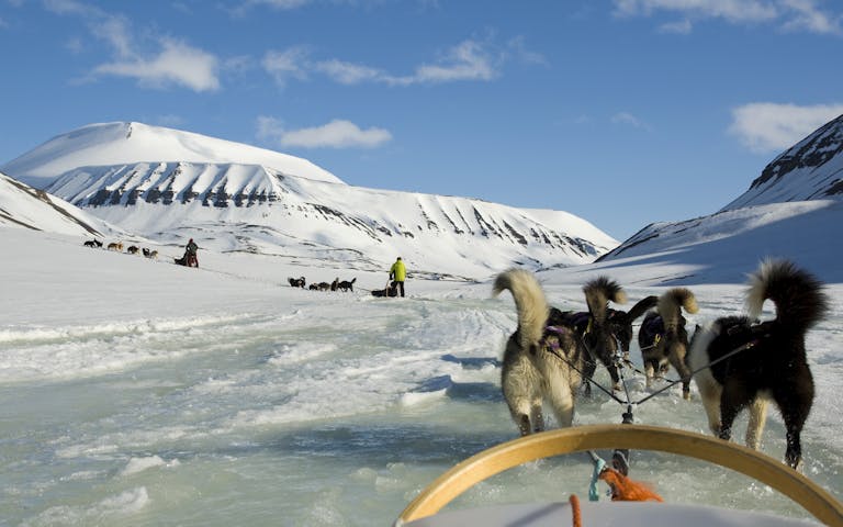 Hundekjøring på Svalbard -
Foto: Getty Images