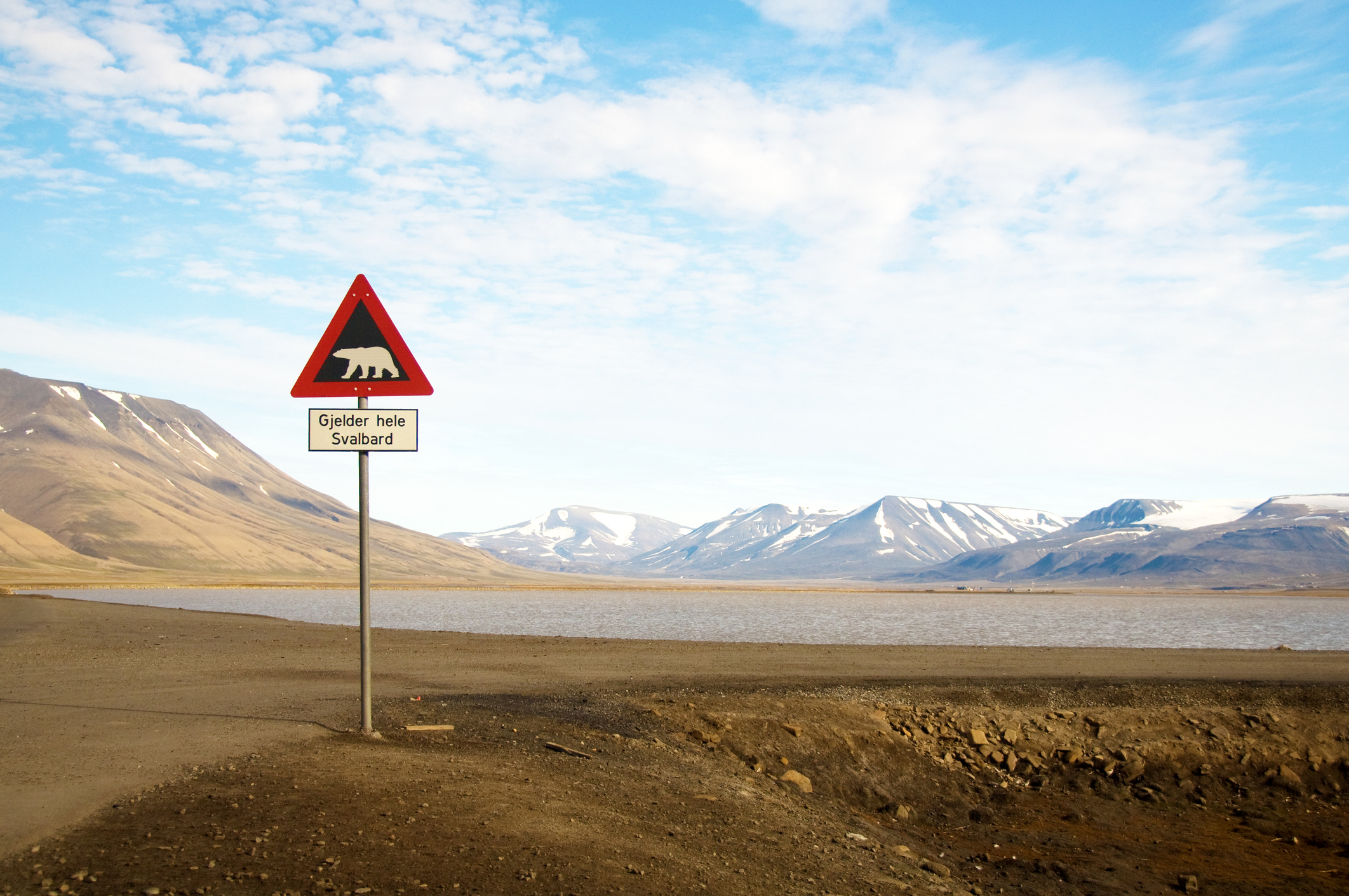 Vanlig å se isbjørn fareskilt på Svalbard -
Foto: Getty Images