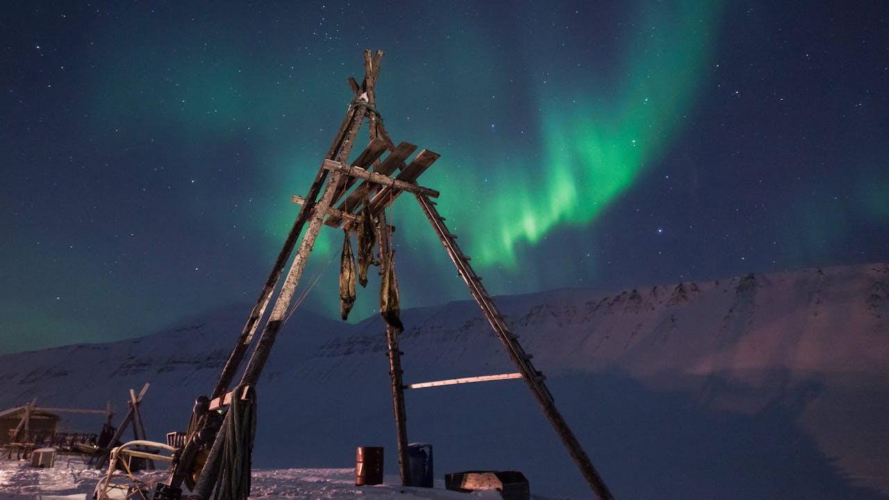 Opplev nordlyset på Svalbard