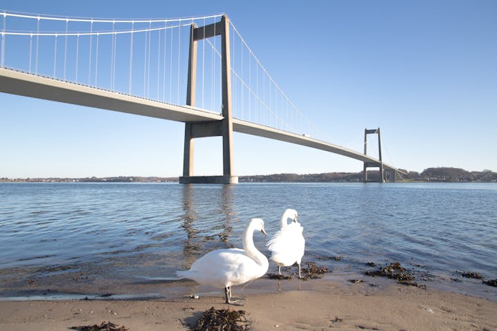 Lillebelt broen mellom Jylland og Fyn -
Foto: Getty Images