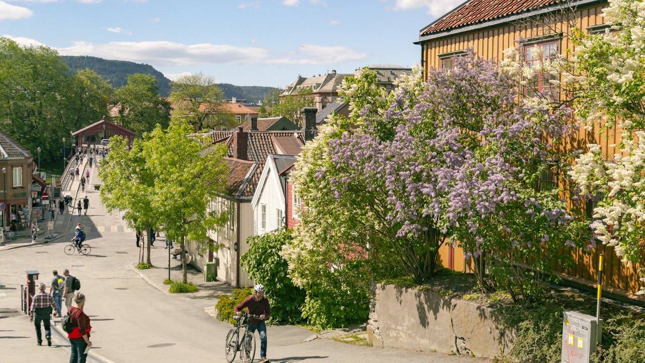 Tips til sykkelturer i Trøndelag
