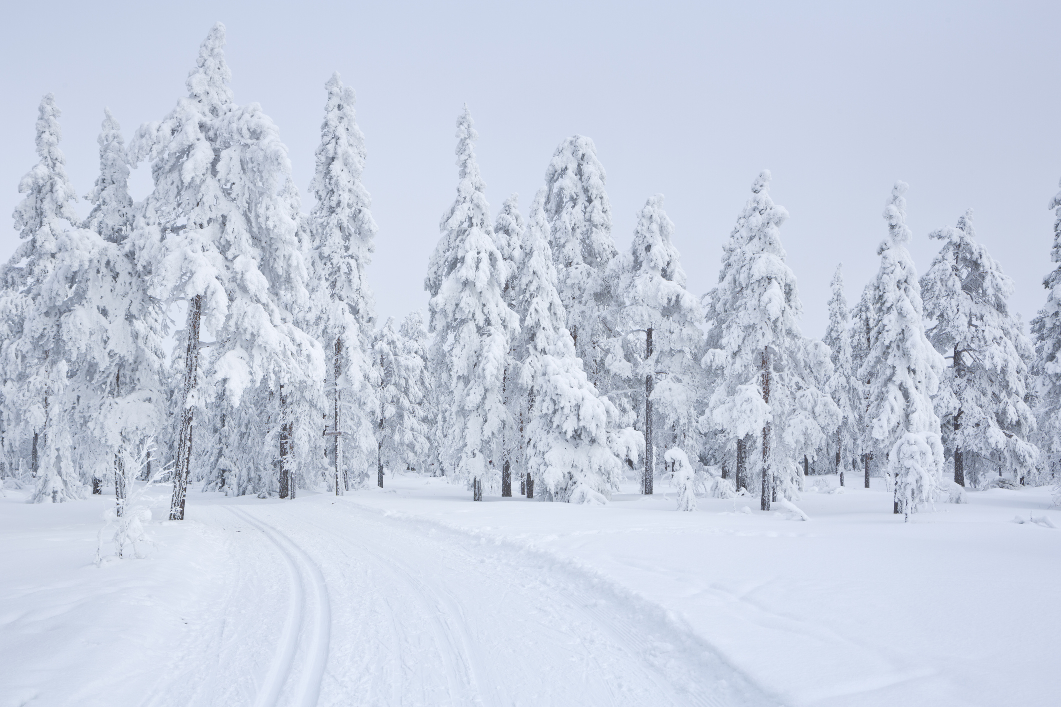 Vintereventyr i Trysil