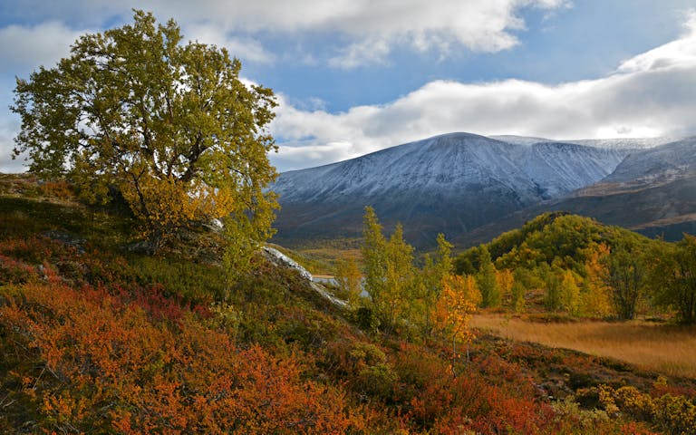 Fantastisk høstdag i Jotunheimen - 
Foto: Getty Images