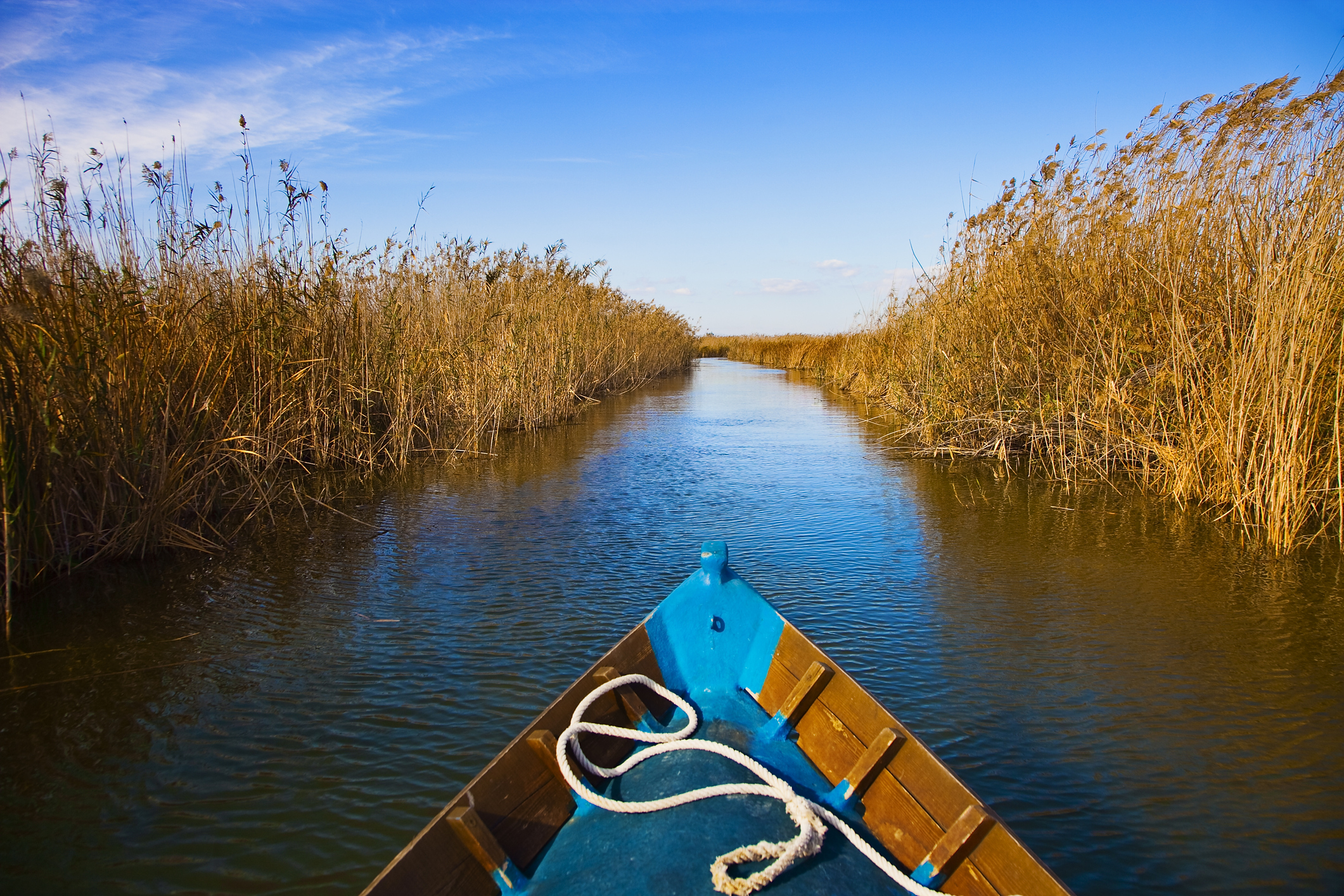 Valencia - opplev Albufera naturreservat