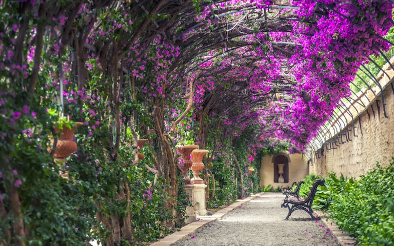 Bilde fra Monforte gardens i Valencia