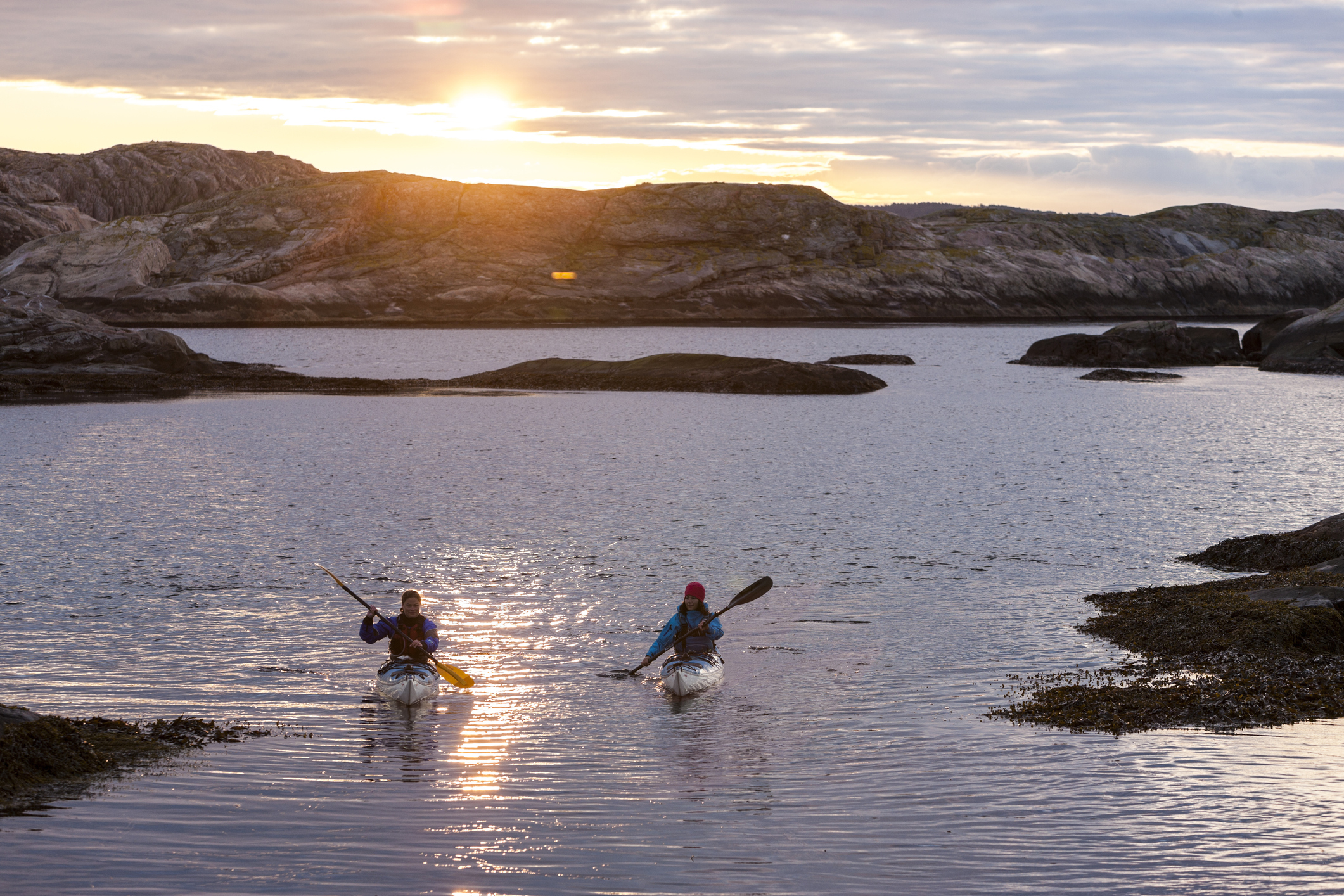 Padlere i solnedgang, Fjällbacka i Sverige