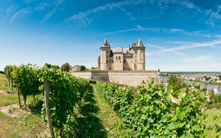 På vingårdene i Loiredalen produseres noe av de beste vinene i Europa.