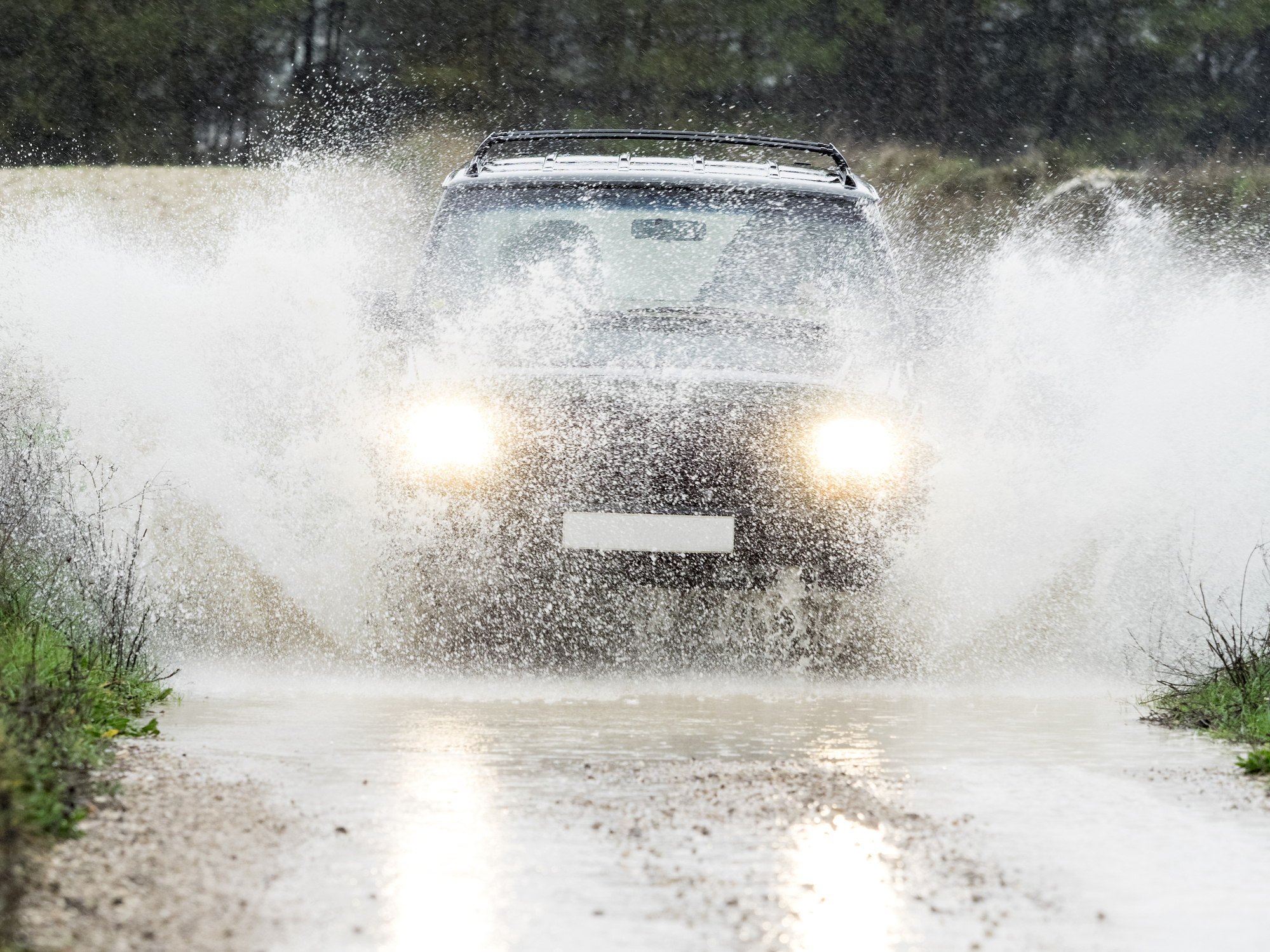 Volkswagen - ulven Amarok