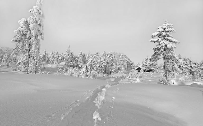 Idyllisk vinterland i Vrådal og Gautefall, Telemark - Foto: Getty Images