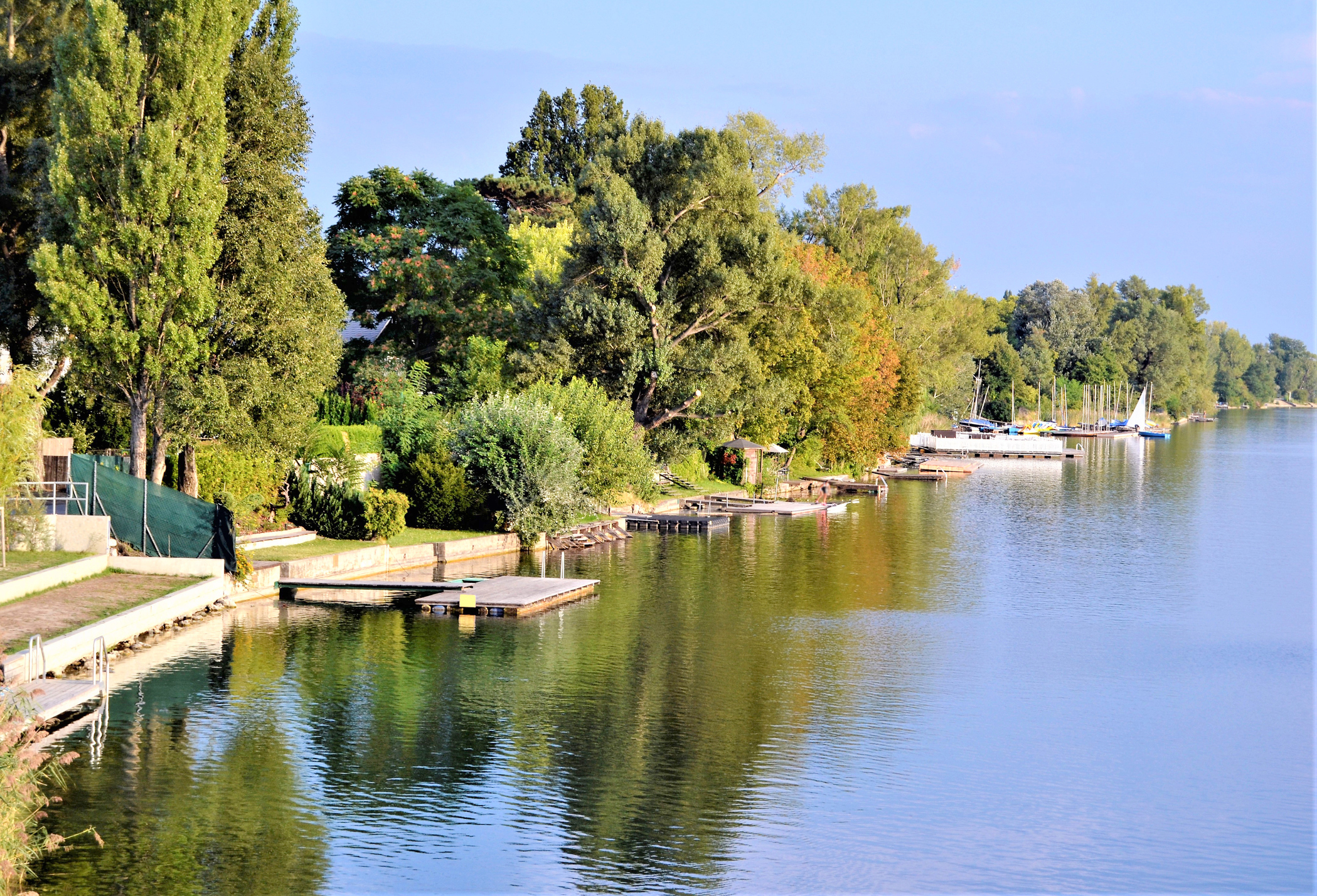Bilde med romantisk utsikt til elvebredden Danube i Wien