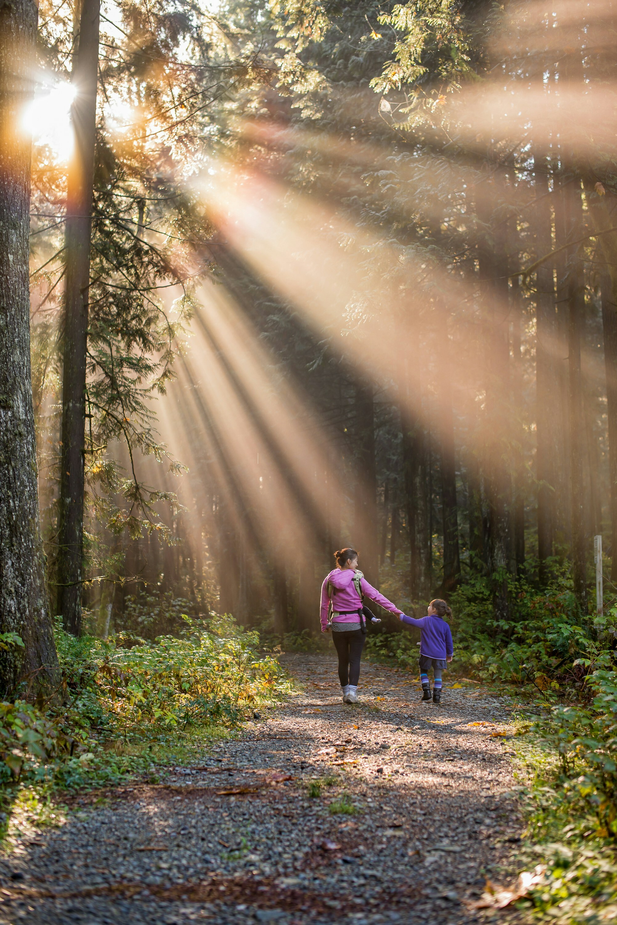 Mor går tur med barnet sitt i skogen, sola skinner gjennom tretoppene