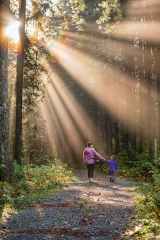 Mor går tur med barnet sitt i skogen, sola skinner gjennom tretoppene