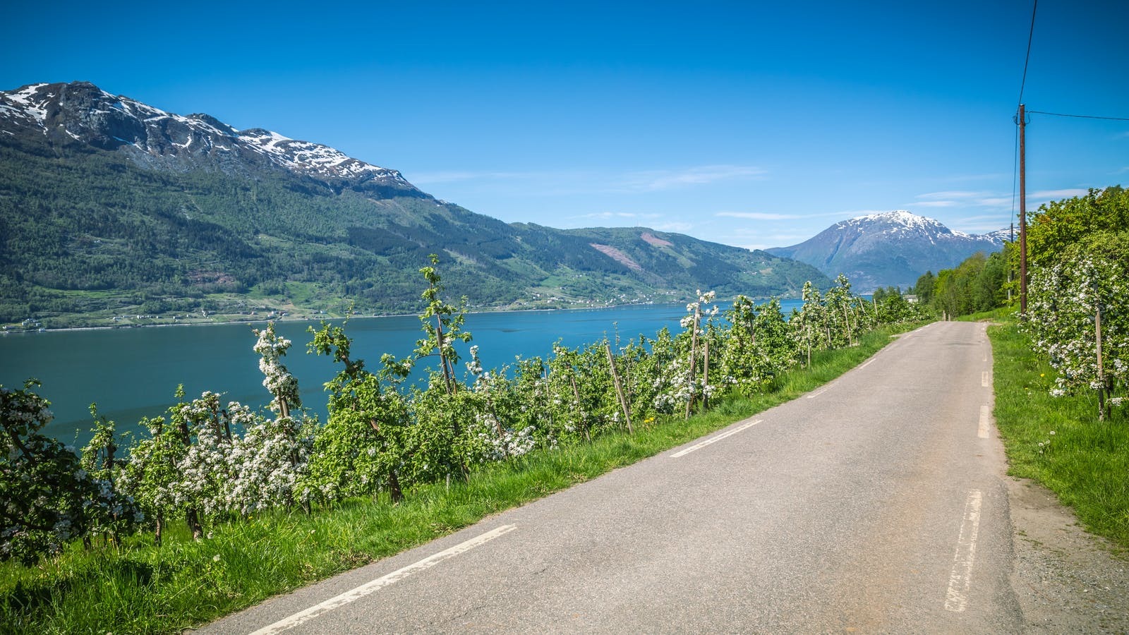 Hardanger bilferie hovedbilde