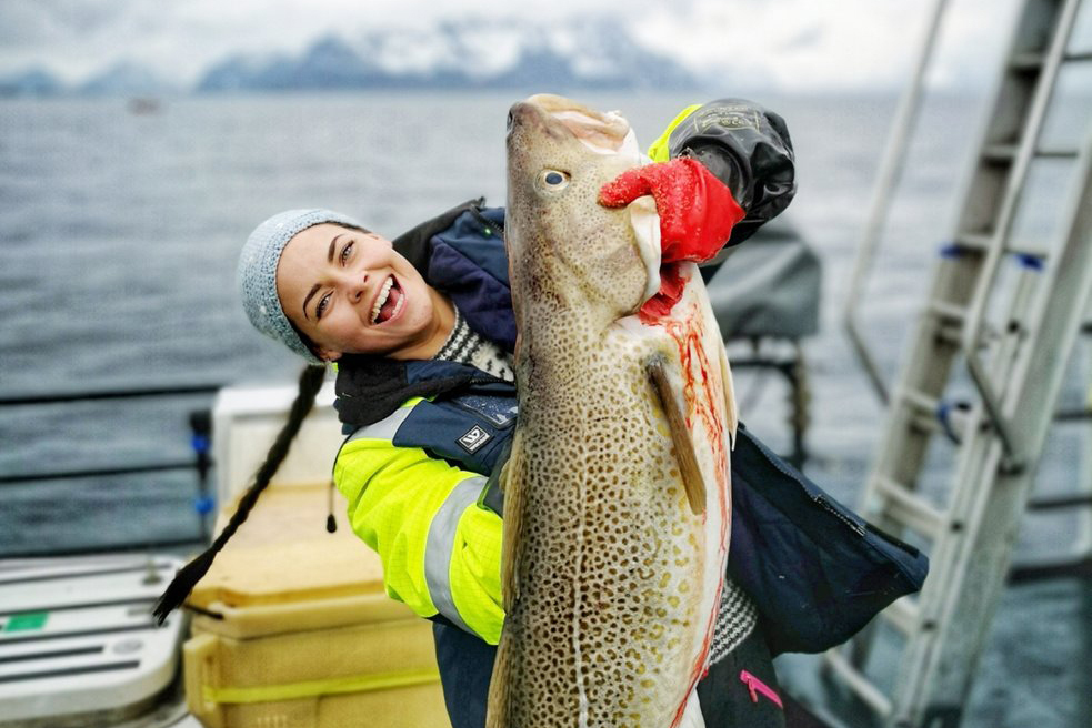 Svinøya Rorbuer i Lofoten