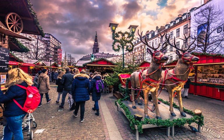 julemarked i københavn. reinsdyr utstilt med en slede